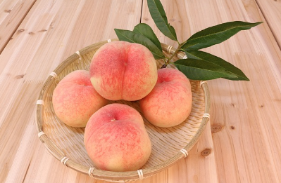 복숭아 효능, 칼로리, 종류 총정리 (2024ver)