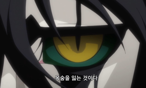 일본애니블리치