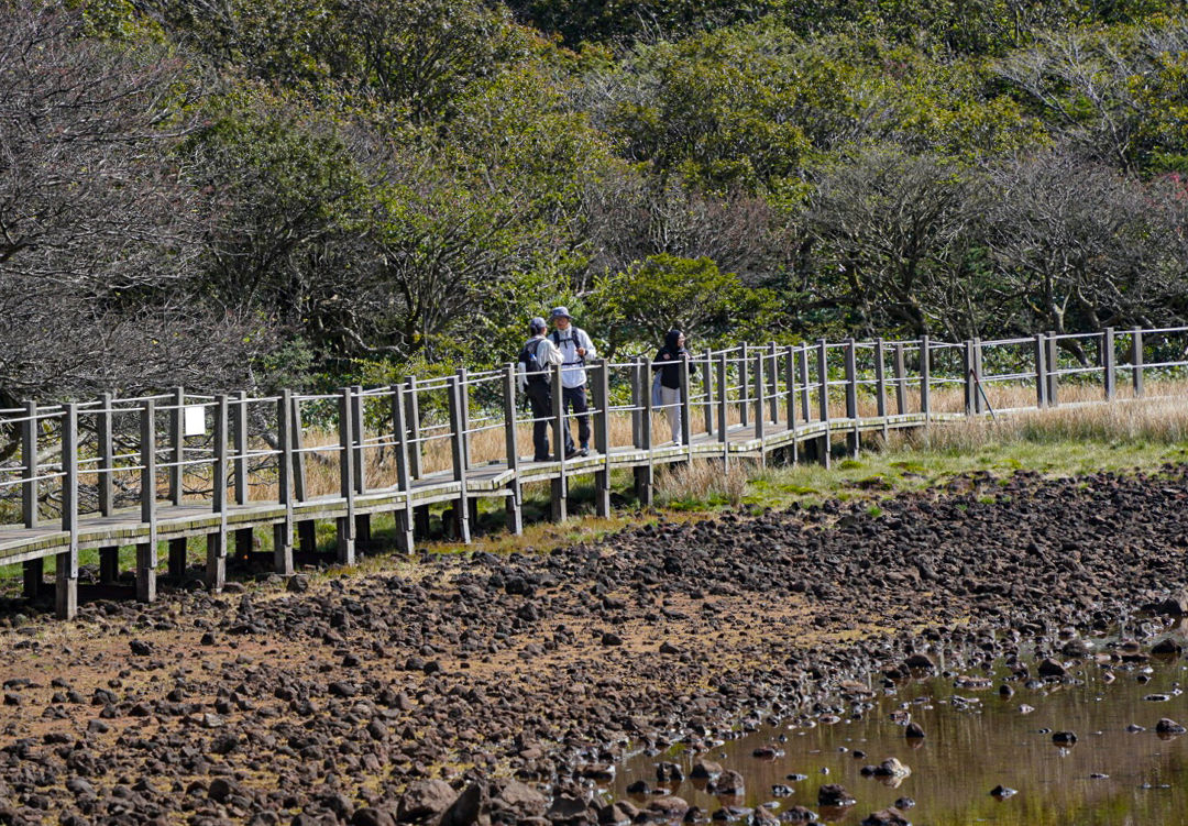 사라오름 탐방로