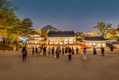 별빛야행