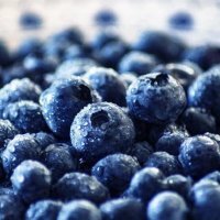 블루베리