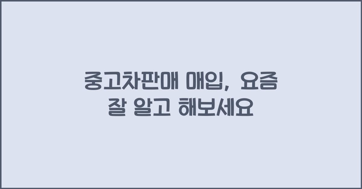 중고차판매 매입