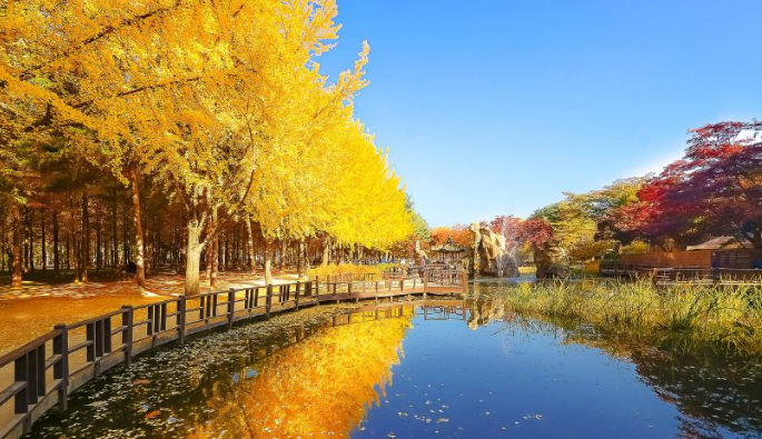 장소/배경 관련 꿈풀이 : 자연 (산, 바다, 강, 숲, 들판, 하늘, 우주 등)