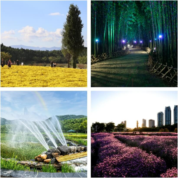 태화강 국가정원 국화 대나무숲 분수