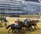 한국마사회 채용 정보 총정리