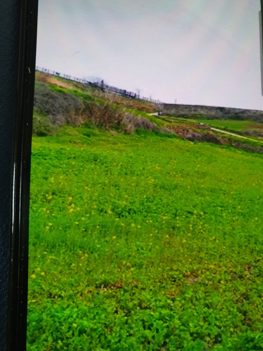 치유가 필요해 청산도를 걸어봐 기본일정과 프로그램 소개