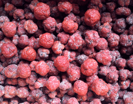 구찌뽕 효능 열매 먹는 법