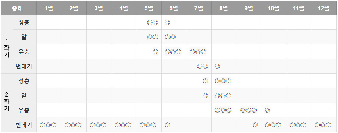 미국흰불나방20