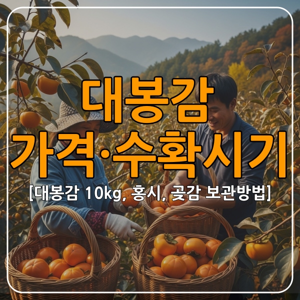 대봉감가격수확시기