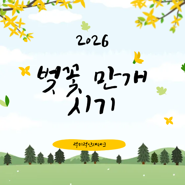 전국 벚꽃 만개 시기