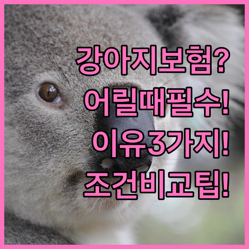 강아지 보험, 어릴 때 가입해야 하는..