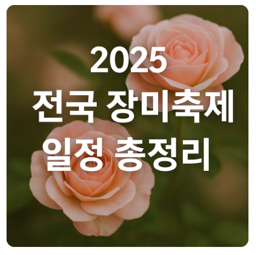 전국 장미축제 / 장미꽃 축제 일정