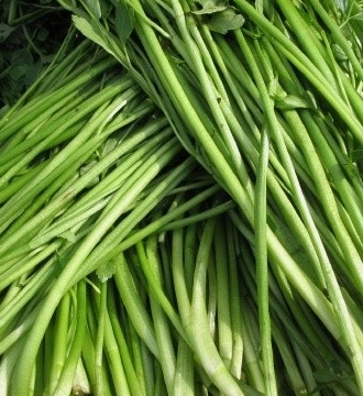 미나리 효능 부작용 고르는법 칼로리