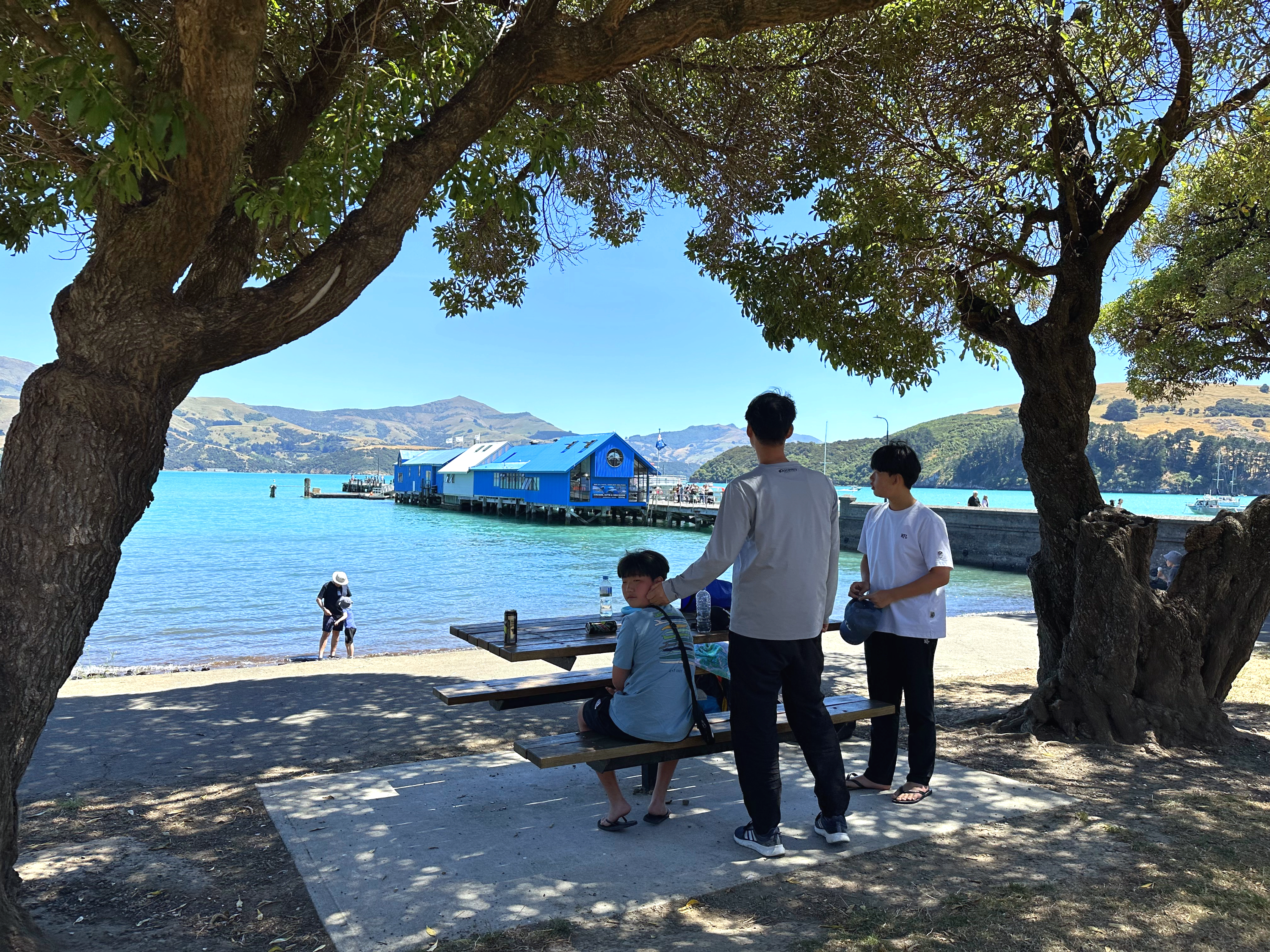 Akaroa