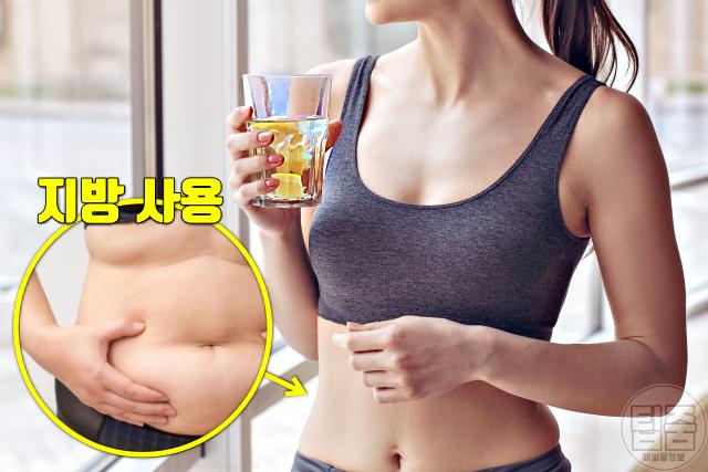 뱃살 빼는법 똥배 단기간 다이어트 공복 간헐적단식