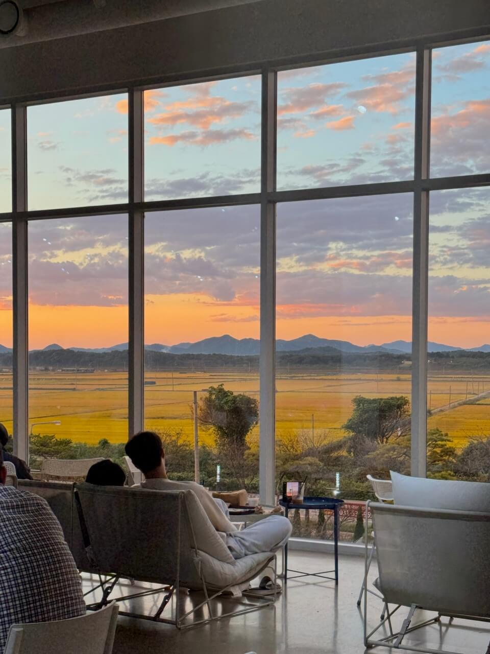 오늘N 소문난 그곳N 파주 식물원 감성 카페 문지리535 파주여행 오늘N2499회