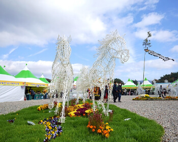 고흥 유자 축제_2