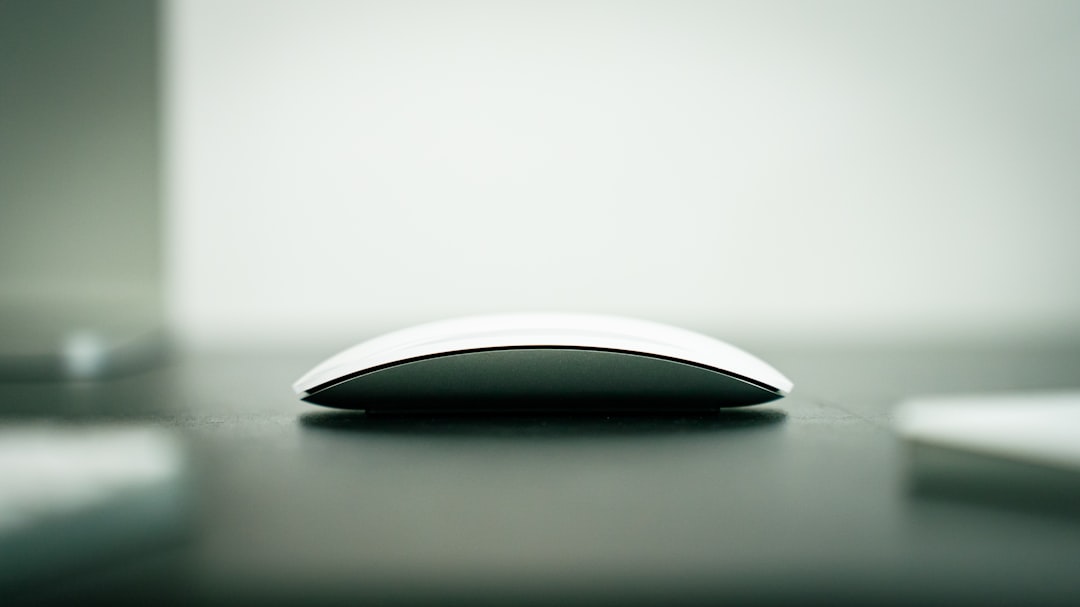 Mouse.