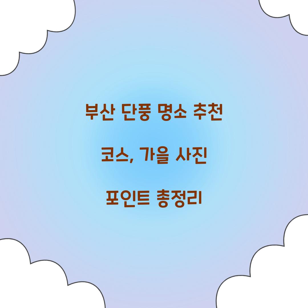 부산 단풍 명소