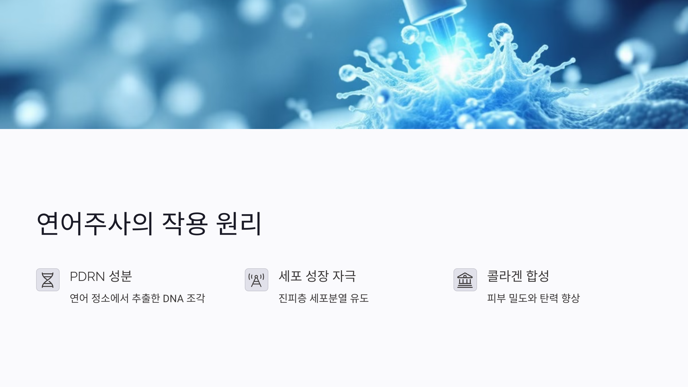 연어주사로 피부가 재생되는 원리