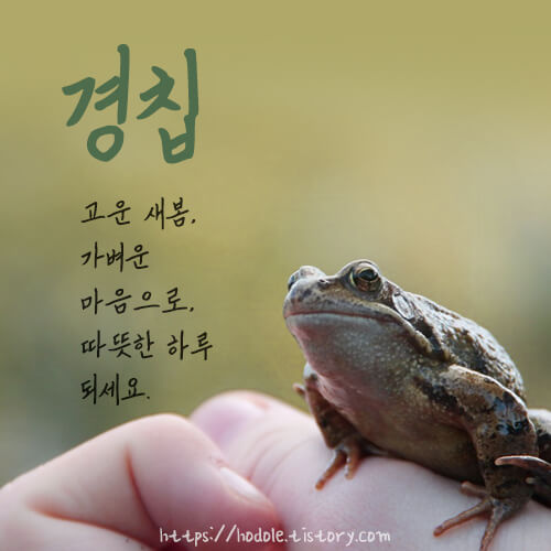 경칩-아침-인사말