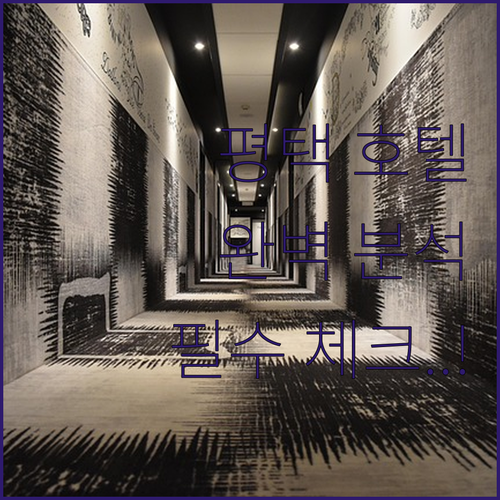 평택 호텔 추천 객실 크기별 구성 분..