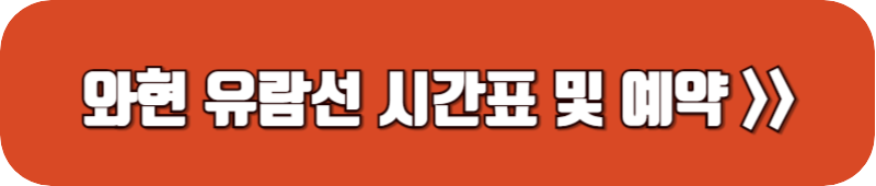 와현-유람선-배시간표-예약-링크-버튼