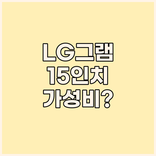 가성비 LG 그램 15인치, 뉴퍼마켓..