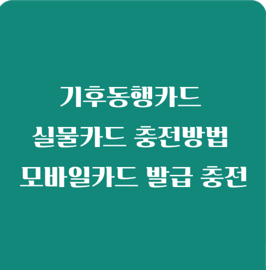 기후동행카드 실물카드 충전방법 (모바일카드 발급 충전)