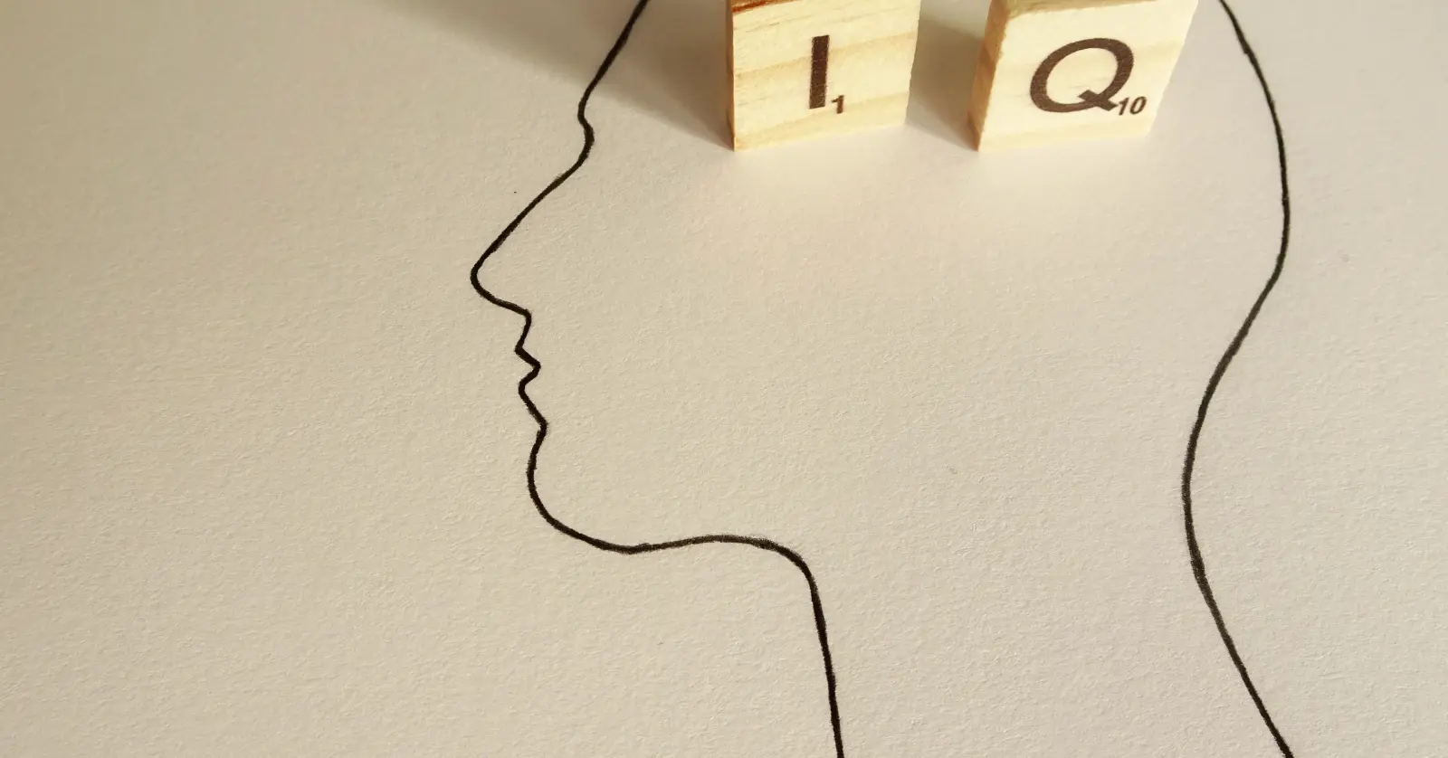 IQ란 무엇인가? 무료 테스트 전에 알아야 할 기본 개념