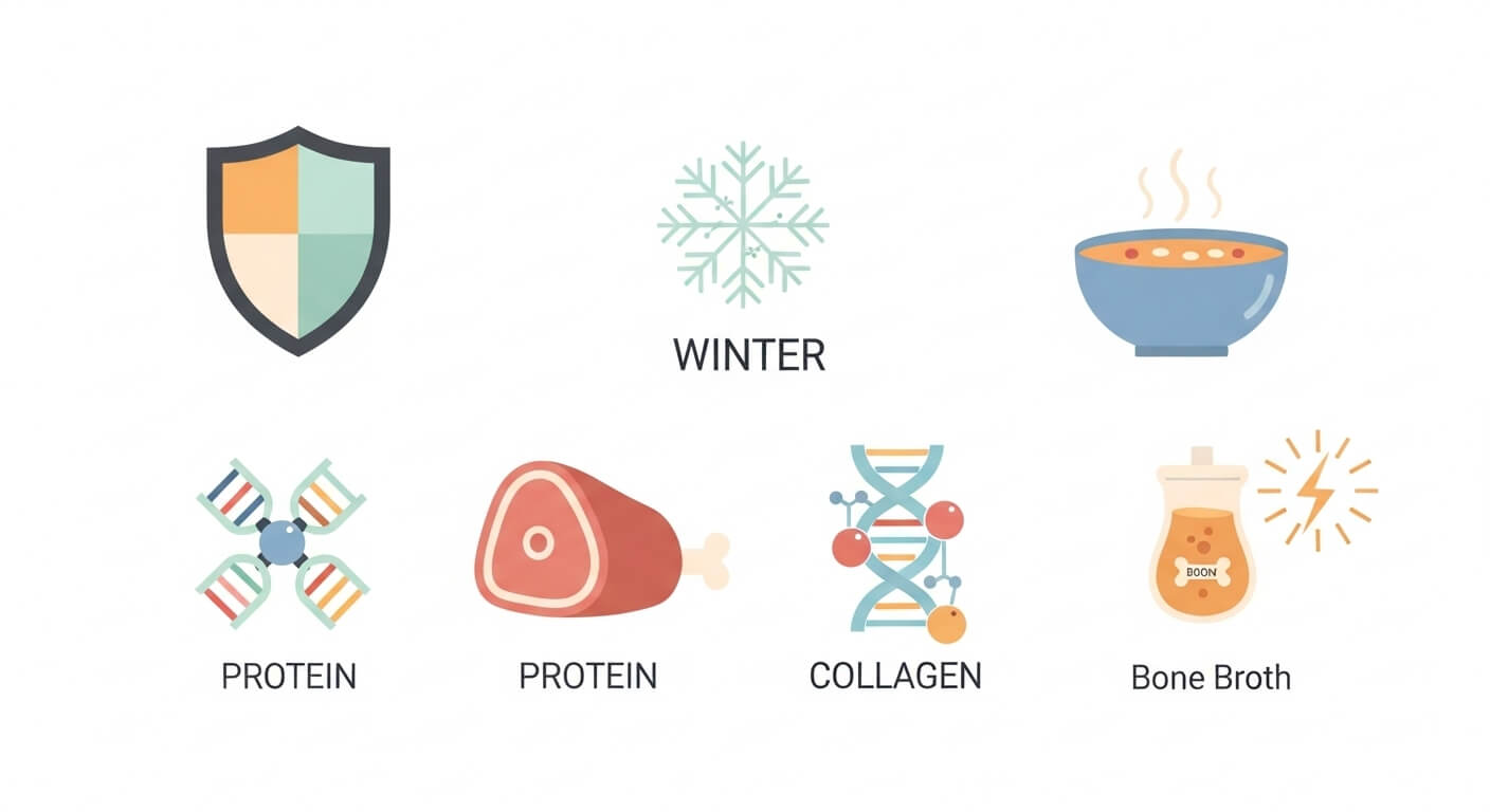 겨울철 면역력 강화 식단 (콜라겐, 단백질, 피로회복)