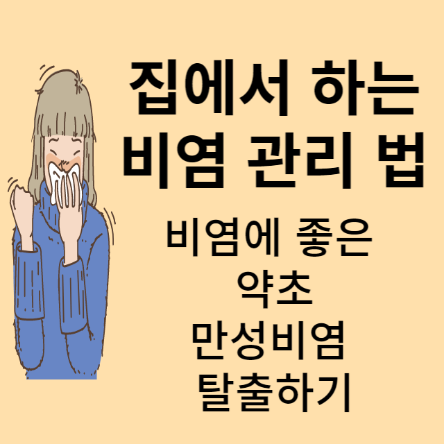 비염에 좋은 약초