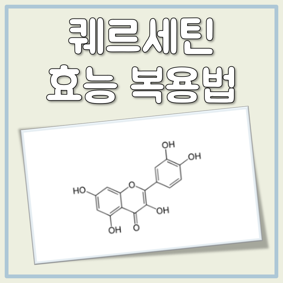 퀘르세틴 효능 복용법 복용시간 부작용 비염 대표 이미지