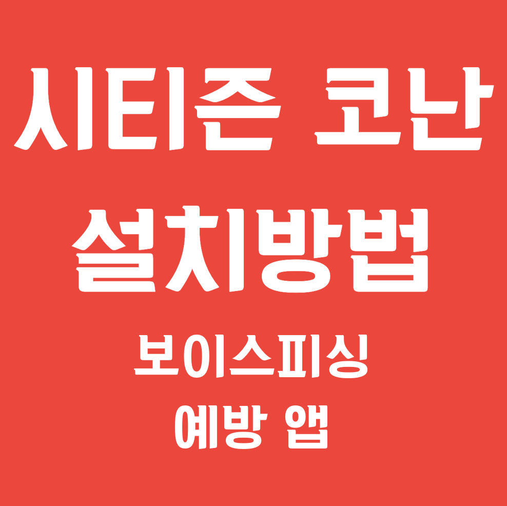 시티즌 코난 설치방법
