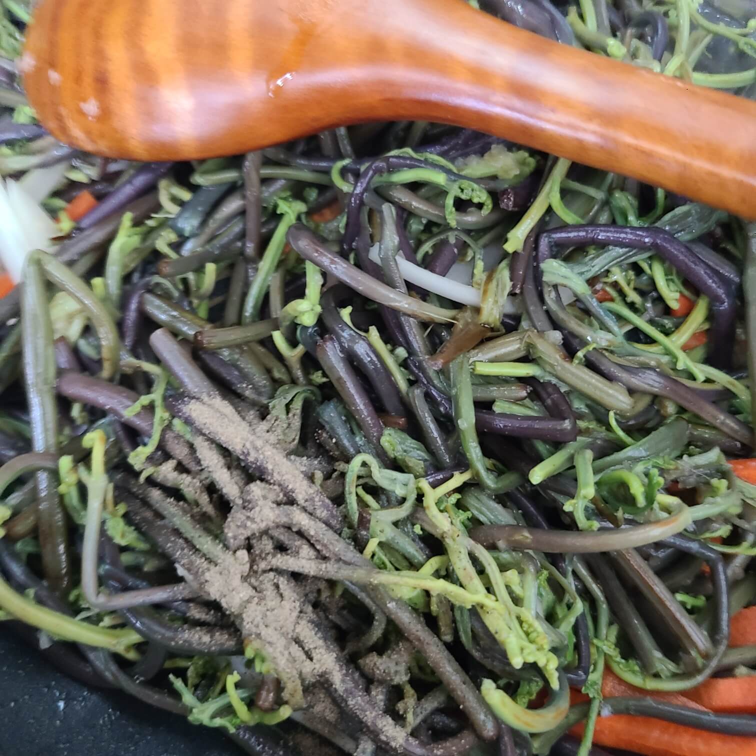 고사리 고사리 효능 말린고사리 고사리 정력 고사리 독성 고사리 발암물질 고사리 고비 고사리의 효능 고사리 독 고사리 독성 제거 방법