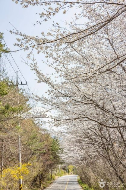 순천 가볼만한곳 베스트10