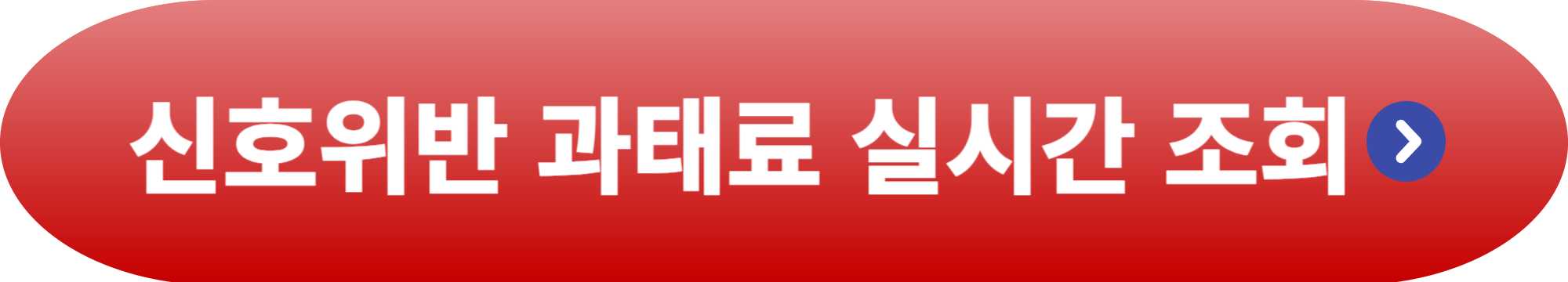 신호위반 과태료