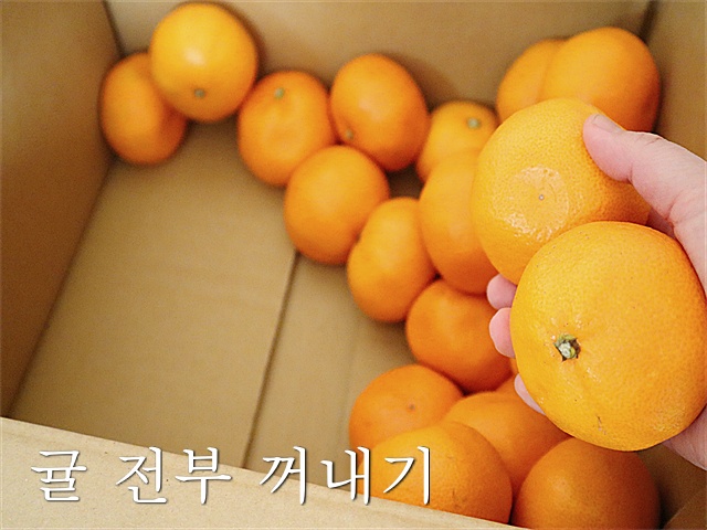 귤 오래 보관하는 방법, 귤 보관법, 귤 오래두고 먹는방법, 생활꿀팁, 팁줌 매일꿀정보