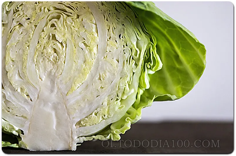 양배추를 마음 껏 먹자