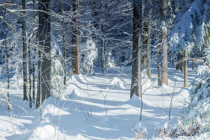 화담숲 예약방법 입장료 할인혜택 야놀자
