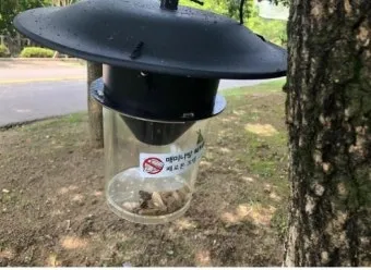 농사 병해충 예방법 진딧물 응애 노균병 탄저병 대처_2