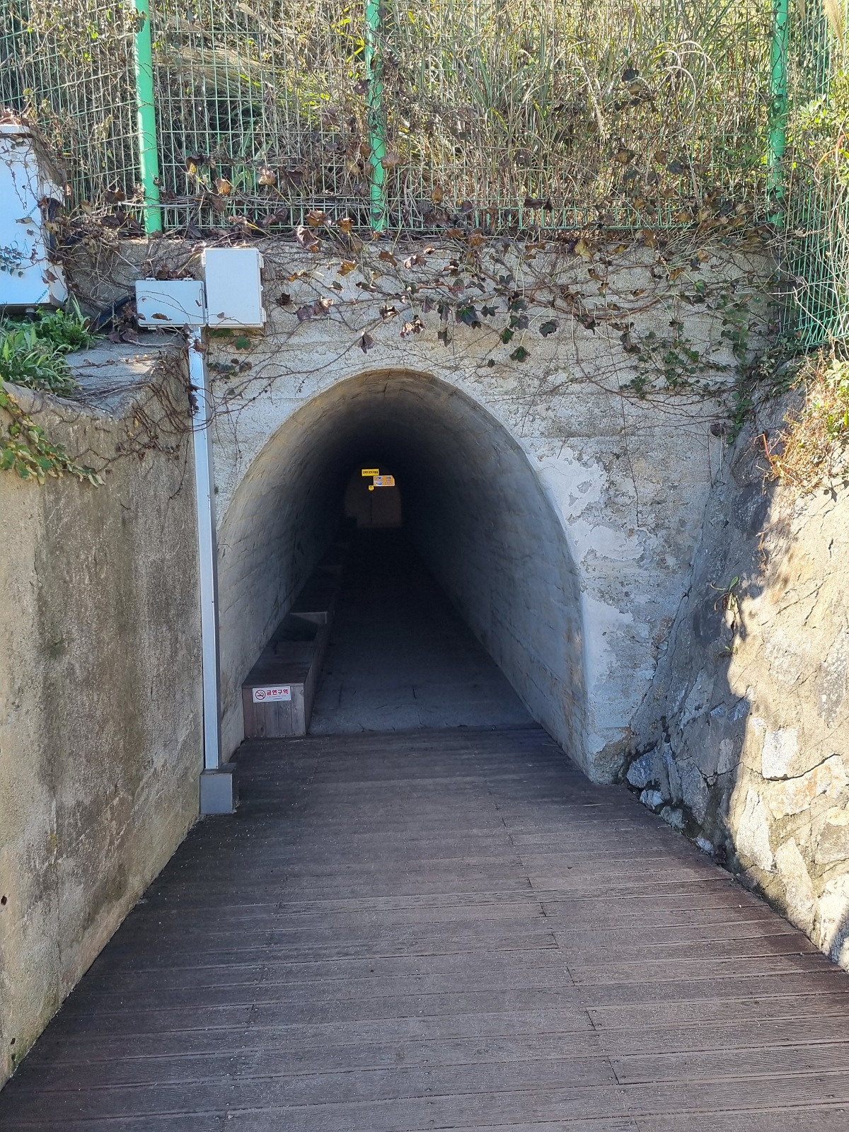 강원도 동해 가볼만한곳 한섬해수욕장 후기 &amp;#124; 주차 빛터널 하대암 산책로