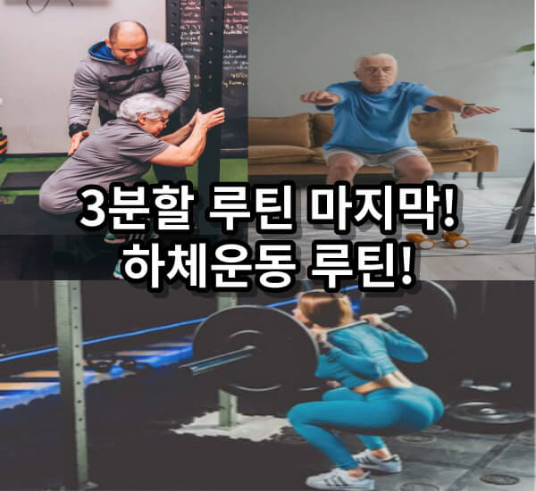 3분할 루틴, 하체운동 루틴