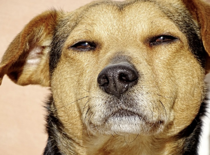 내 뇌의 경고등, '번아웃': 왜 열심히 살수록 더 무기력해질까?