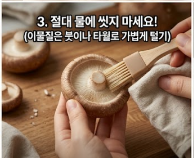 표고버섯 보관방법