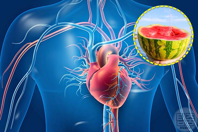 수박 효능 부작용 심장 수박씨 수박껍질 수박은 어디에 좋은 가요