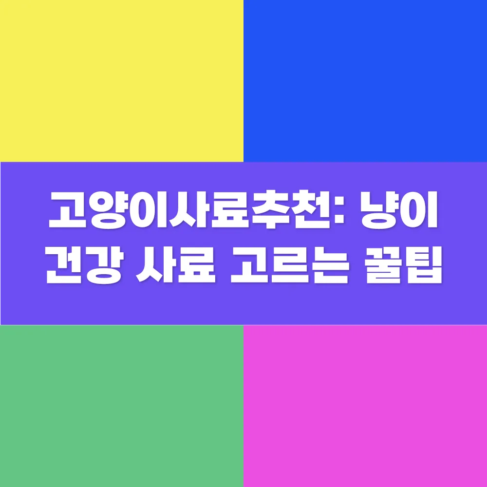 썸네일 이미지