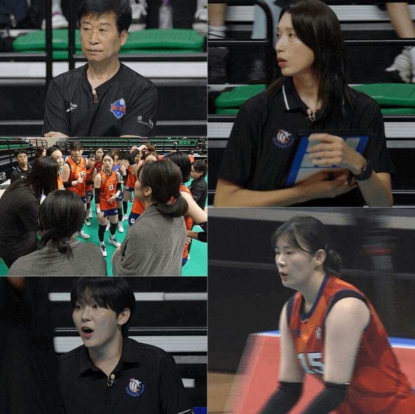 원더독스 배구단