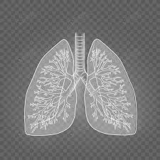 폐에 물이 차는 원인