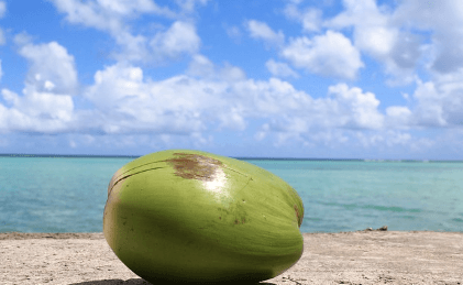 괌 여행하기 좋은 계절, 준비물, 먹거리